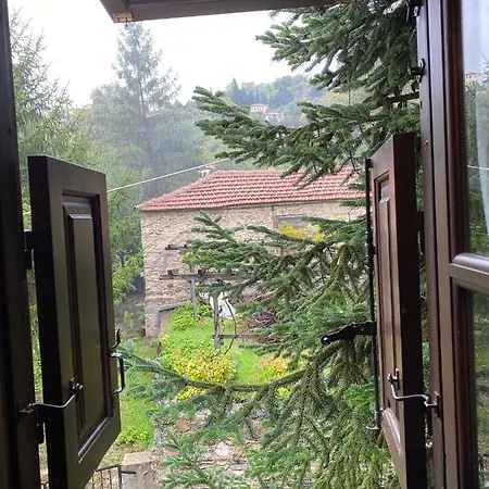 Drialos * Βόλος